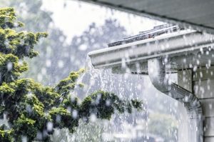 rain-carriers-rain-gutters-clogged