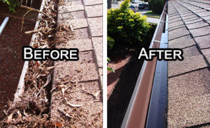 Dunwoody Gutter Cleaning Company