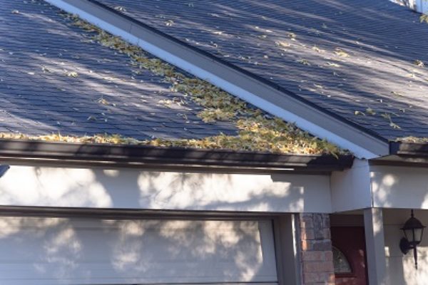 Pile Of Dried Leaves On Rain Gutter Of Residential Home In Texas