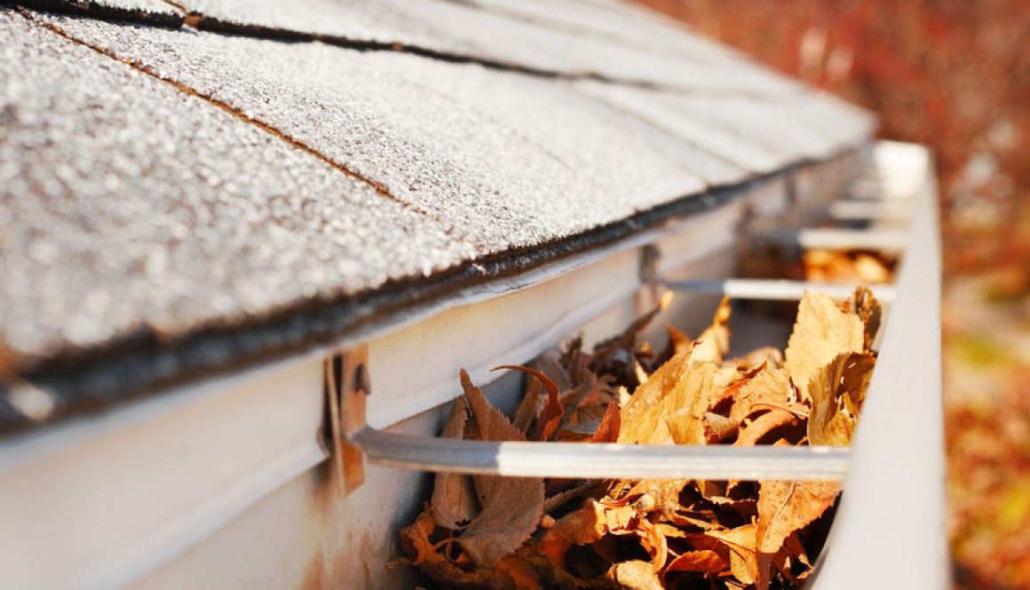 gutter cleaning by rain carriers