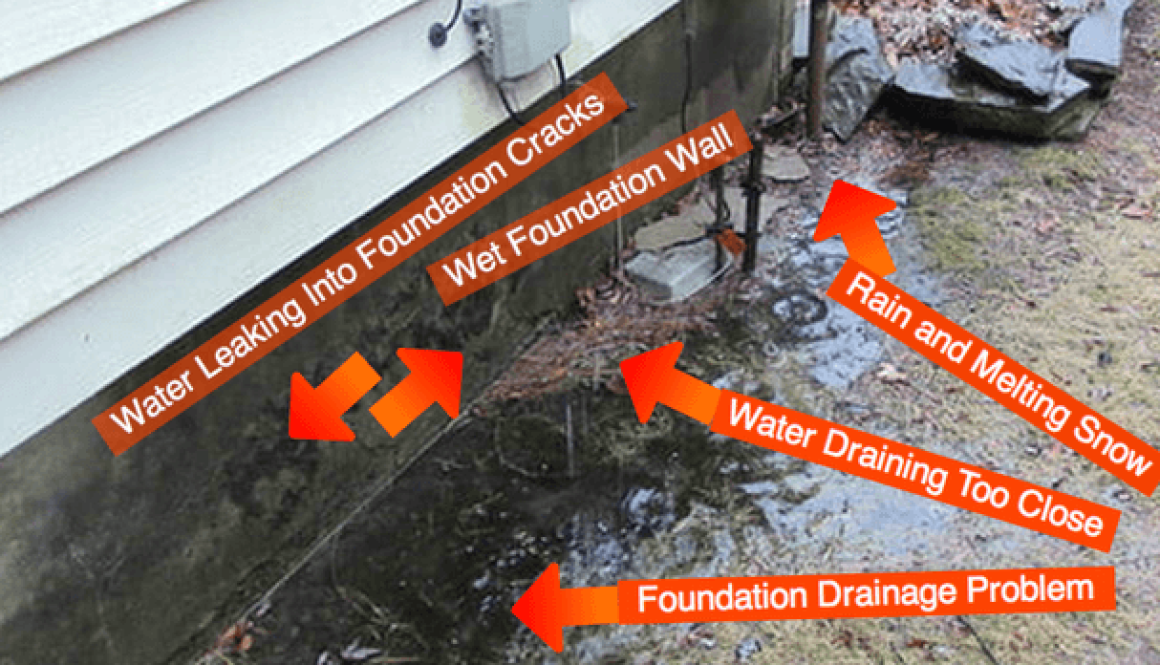 pooling-water-foundation-pests-gutter-damage-gutter-company-rain-carriers pooling water at foundation - rain carriers rva