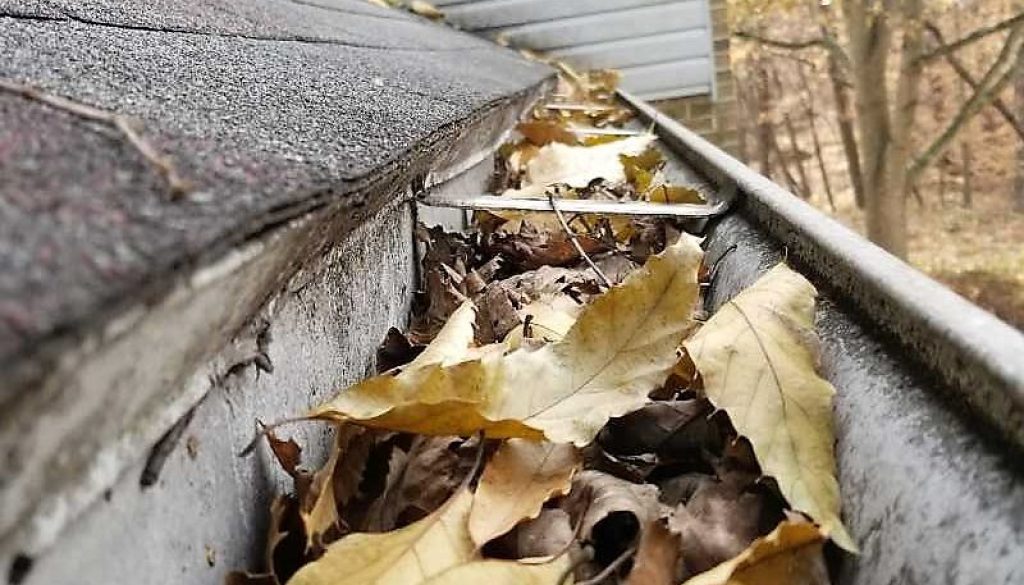 Clogged gutter with leaves in Virginia home, highlighting the need for seasonal gutter maintenance to prevent water damage and foundation issues